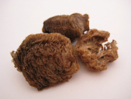 Sang Piao Xiao - Ootheca Mantidis - Egg Capsule of Mantid - 10gr