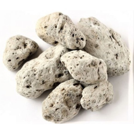 Hai Fu Shi (Duan) - Pumex Preparata - Pumice Prepared 100gr