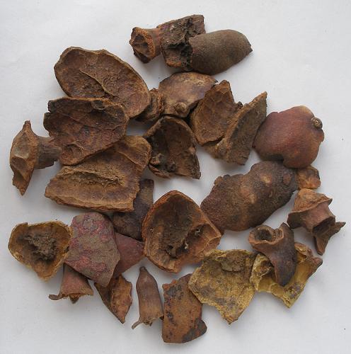 Shi Liu Pi - Pericarpium Punicae Granati - 石榴皮 100 gram