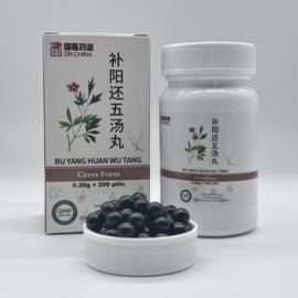 Bu Yang Huan Wu Tang Wan - Ceres Form - 補陽還五湯丸