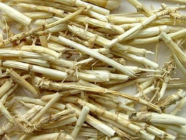 Bai Mao Gen - Rhizoma Imperatae - Lalang Grass Rhizome - 100gr