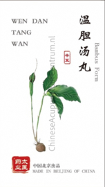 Wen Dan Tang Wan - Bambus Form - 温胆汤丸