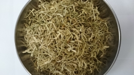 Jin yin hua - Flos lonicerae - Honeysuckle flower - 100 gr