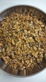 Lian qiao - Fructus forsythiae - Weeping forsythia capsule - 100 Gr