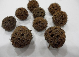 Lu Lu Tong - Fructus Liquidambaris - Beutifuk Sweetgum Fruit - 100gr