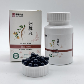 Gui Pi Wan - Lilly Form 归脾丸