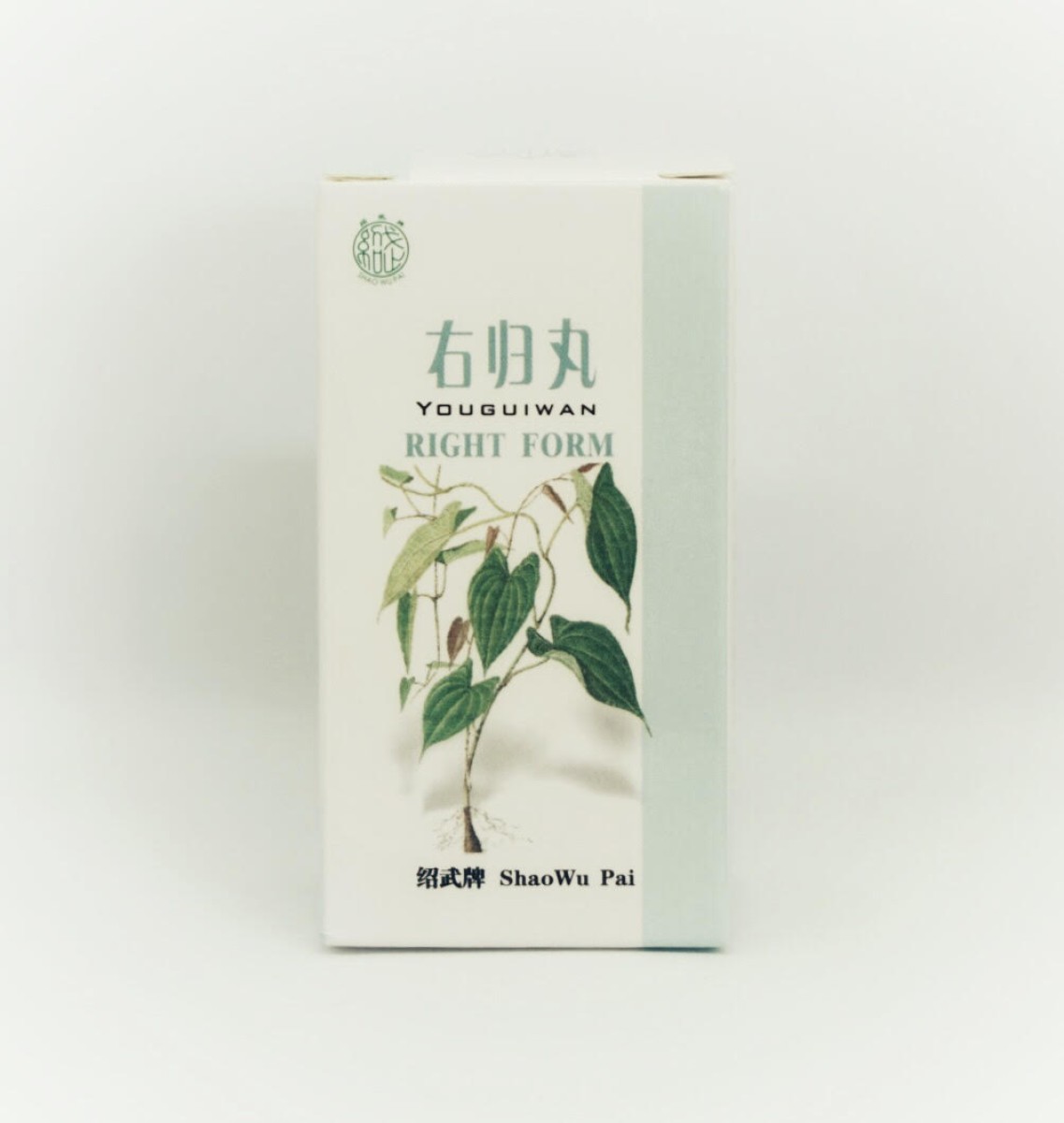You Gui Wan 右归丸 Right Form