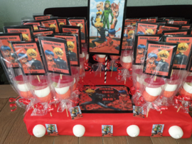 Lady bug en Cat Noir traktaties vanaf   € 27,08