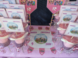 Roblox traktatie Roze vanaf  € 27,08