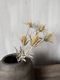 Thistle spray light yellow