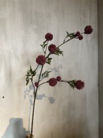 Tak met rood roze balletjes