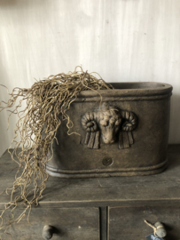 Brynxz pot Majestic Brown L