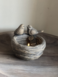 Nestje met 2 vogeltjes