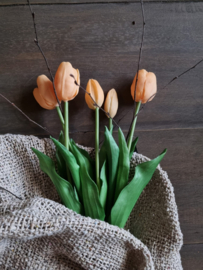 Real touch tulpen - zalm