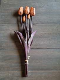 Zijde tulpen - caramel
