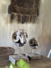Ram op voet - M brown