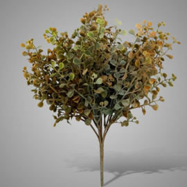 Ginkgo Bush Green 33 cm