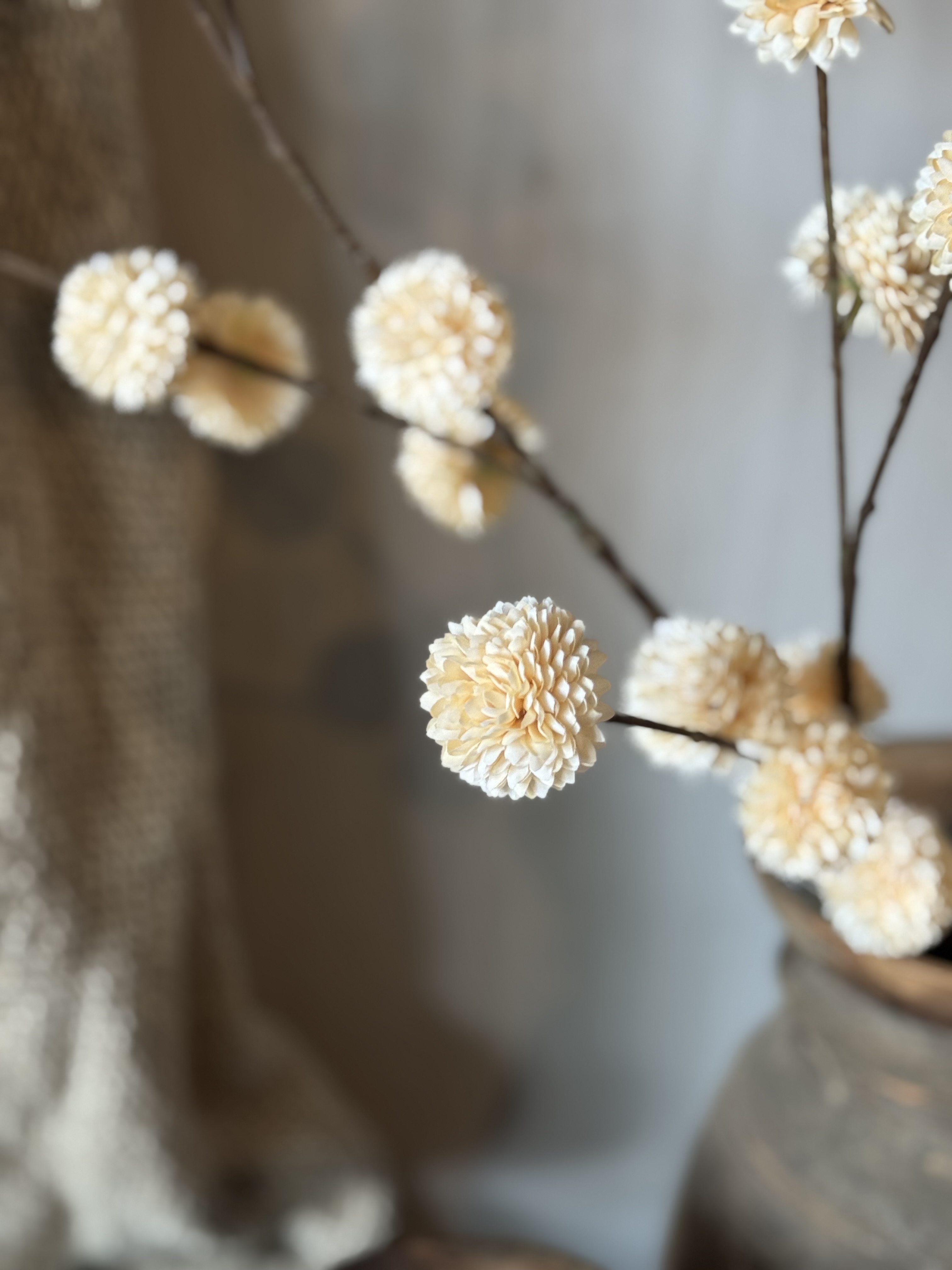 Pompom tak