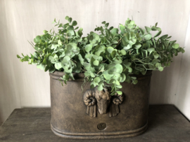 Brynxz pot Majestic Brown M