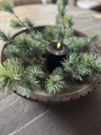 Larix krans mini