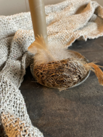 Nestje met 2 eitjes en veertjes