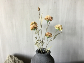 Mum spray pink