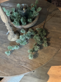 Larix tak M real touch