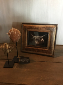 Fotolijstje