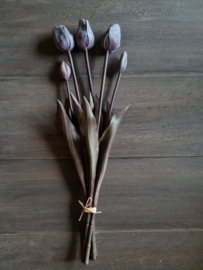 Zijde tulpen - antraciet