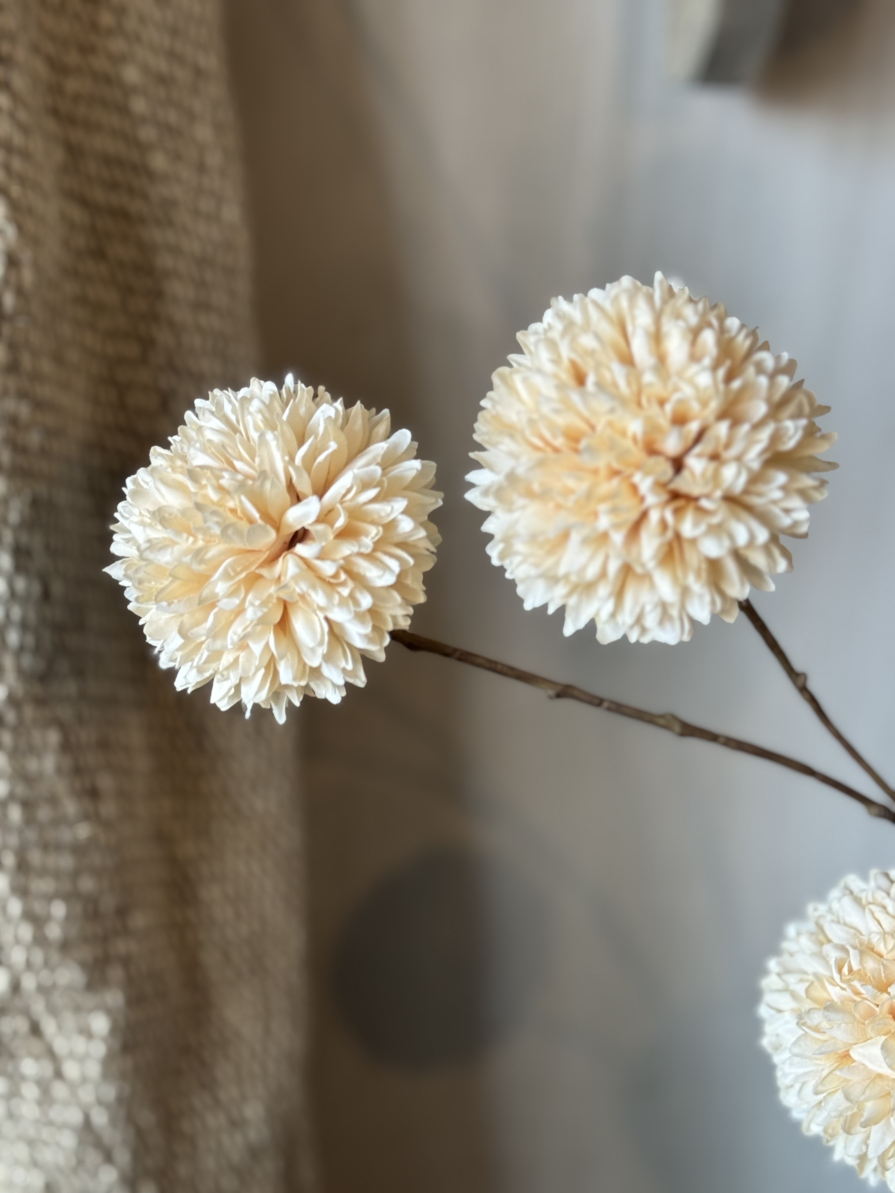 Pompom XL
