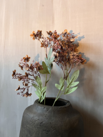 Babysbreath Dark Coffee