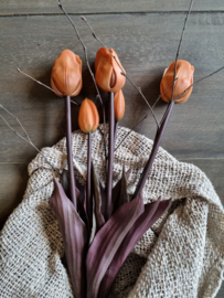Zijde tulpen - caramel