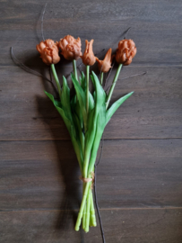 Zijde papegaai tulpen - caramel