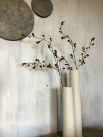 Plum blossoms spray