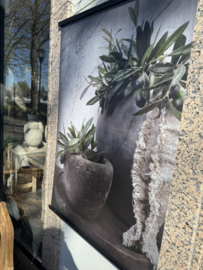 Tuinposter olijf