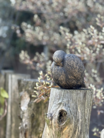 Vogel - majestic brown