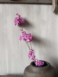 Zijdetak donker roze bloem