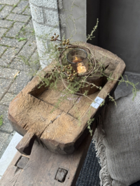Unieke trog AP