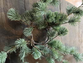 Larix krans mini