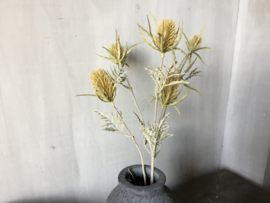 Thistle spray light yellow