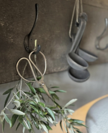 Schaar aura peeperkorn