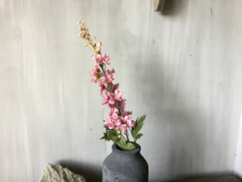 Delphinium light pink