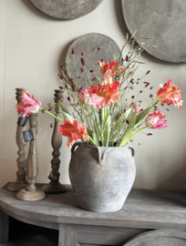 Zijde papegaai tulp - oranje