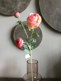 Ranonkel, roze