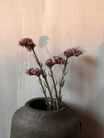 Zijdetak Bloemen Paars