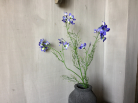 Wild Delphinium bleu