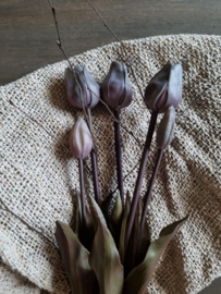 Zijde tulpen - antraciet