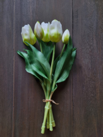 Zijde tulpen kort - wit