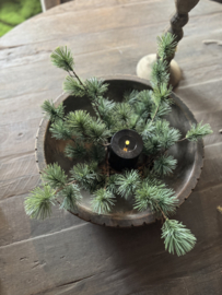 Larix krans mini