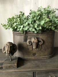 Brynxz pot Majestic Brown M